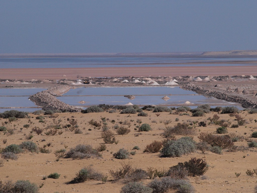 West Africa 2009