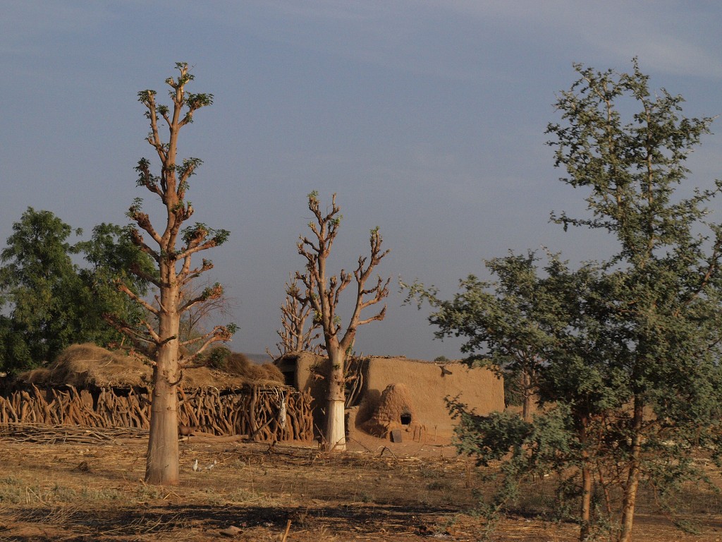 West Africa 2009