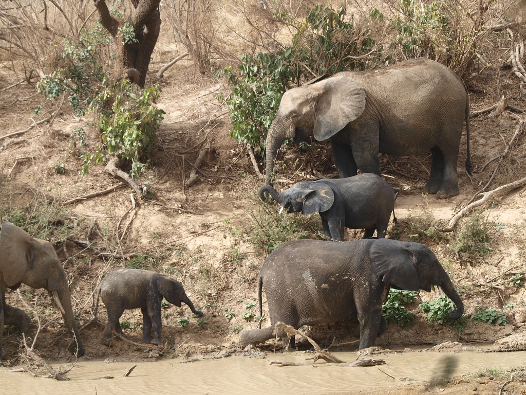 West Africa 2009