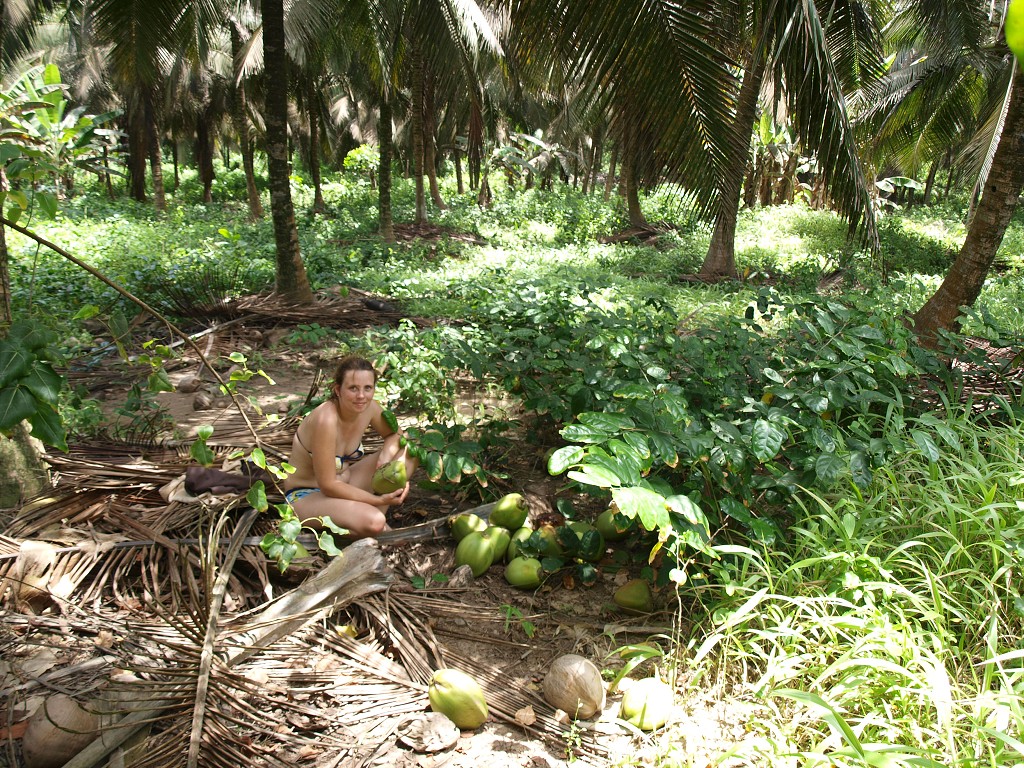 West Africa 2009