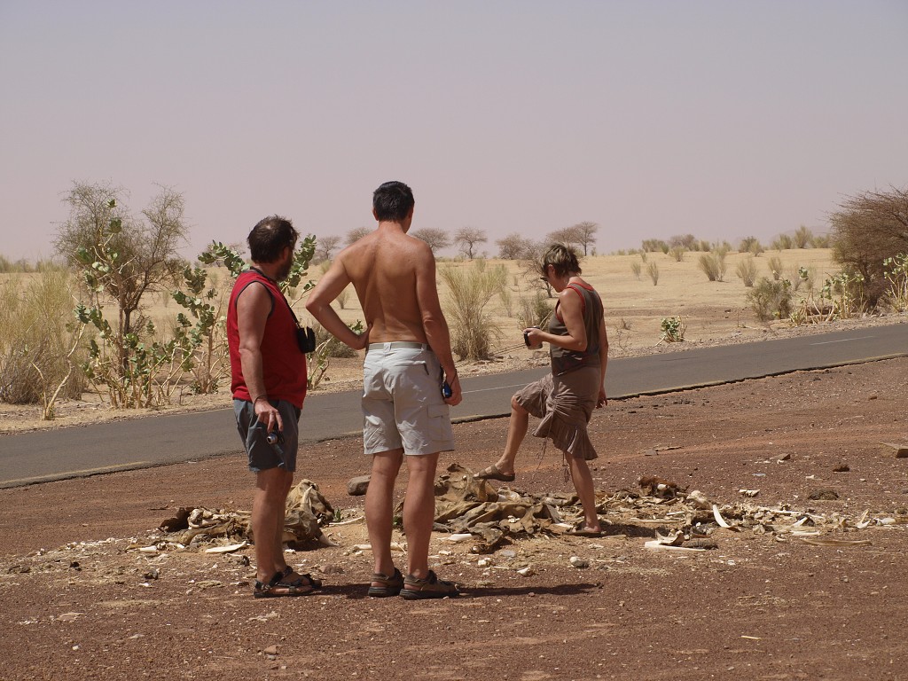 West Africa 2009