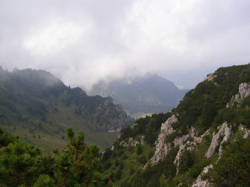 Alpy 2007