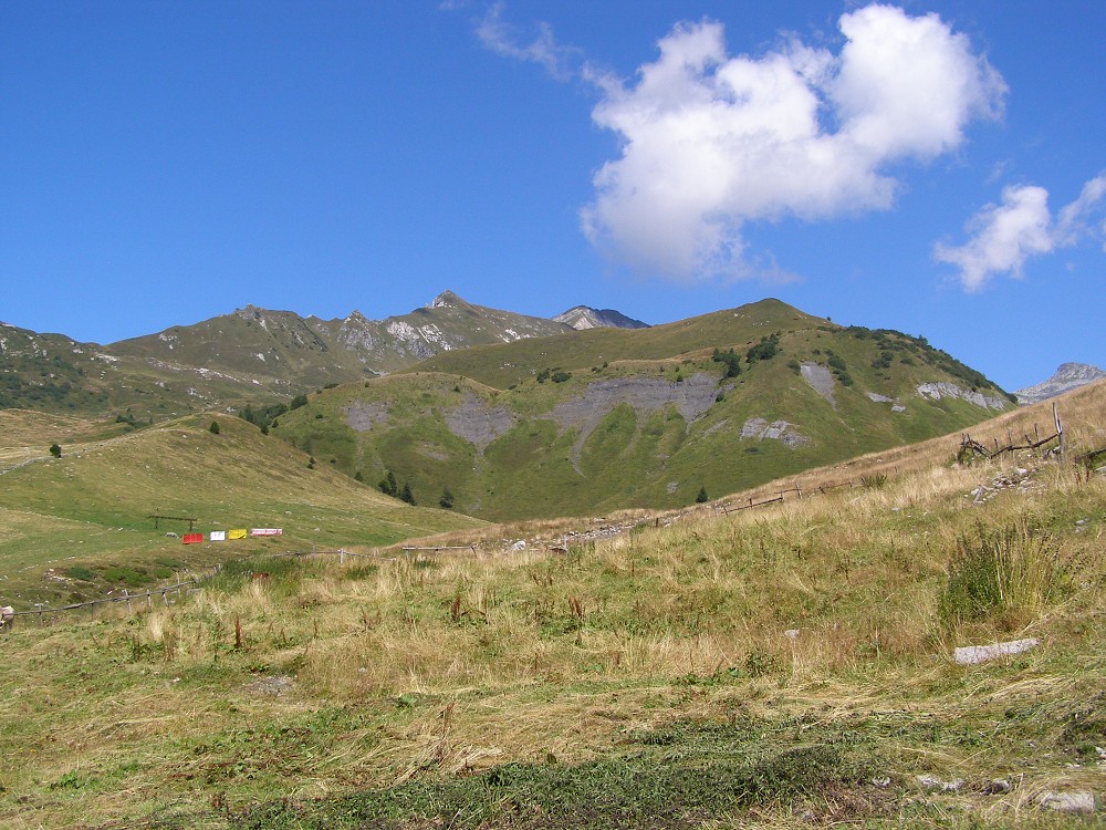 Alpy 2007