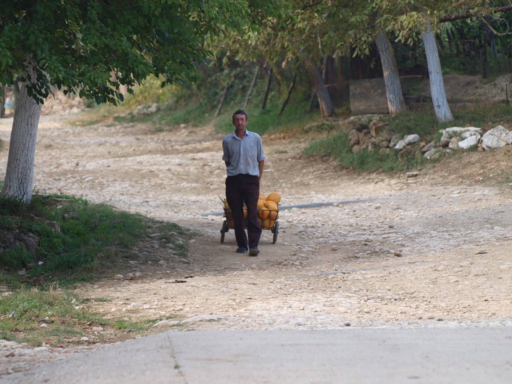 Banát 2008