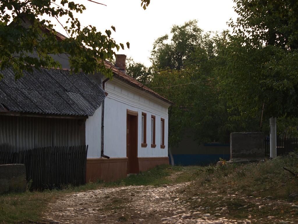 Banát 2008