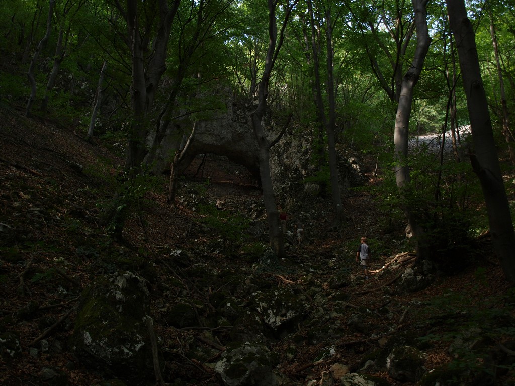 Banát 2008