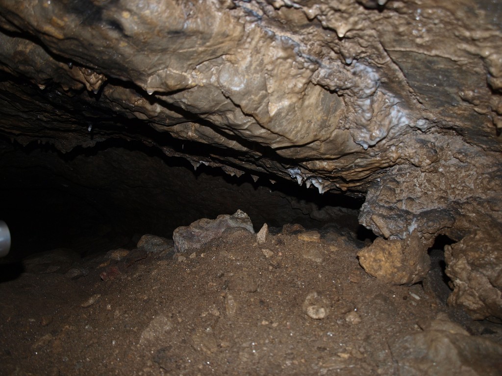 Banát 2008