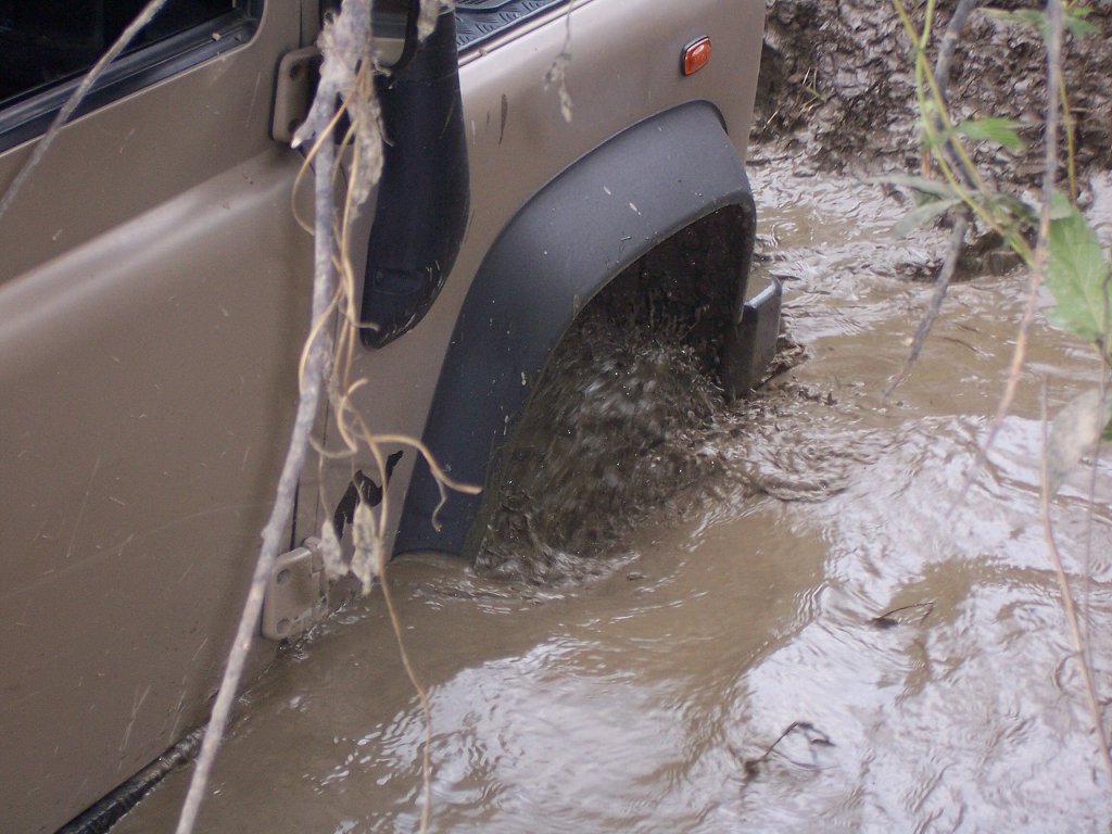img00003.jpg