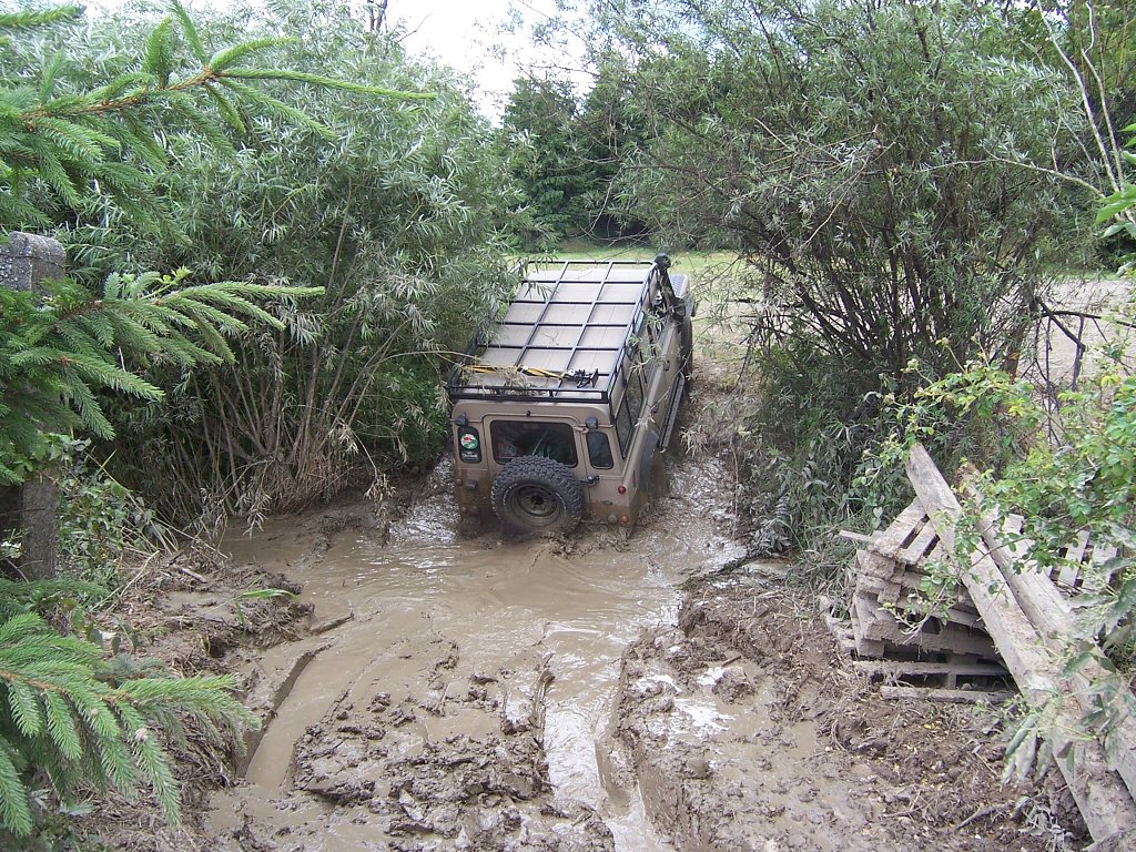 img00008.jpg