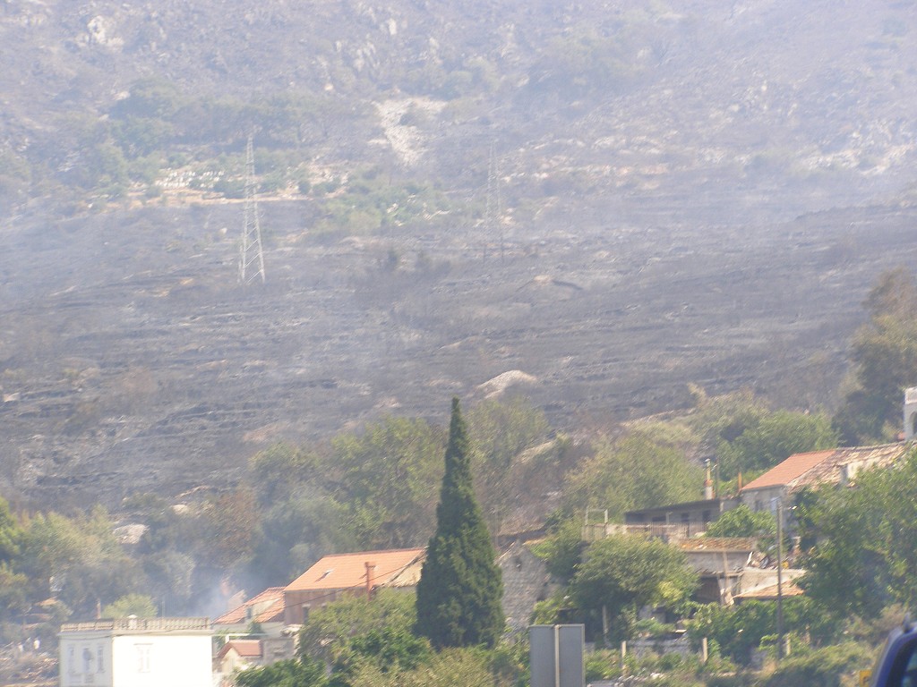 Apalucha 2007