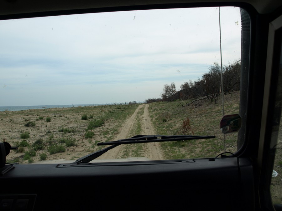 Itlie 2007
