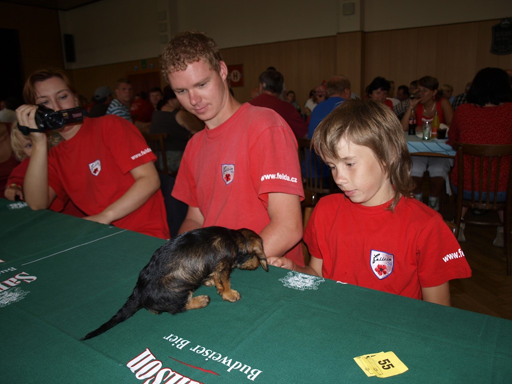 Setkání Zlatá koruna 2008