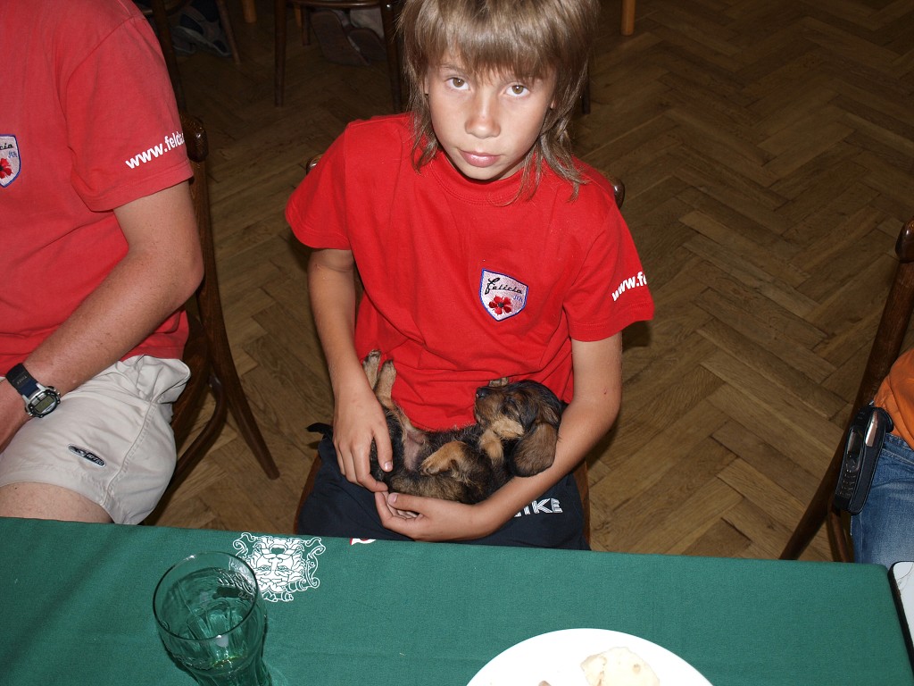 Setkání Zlatá koruna 2008