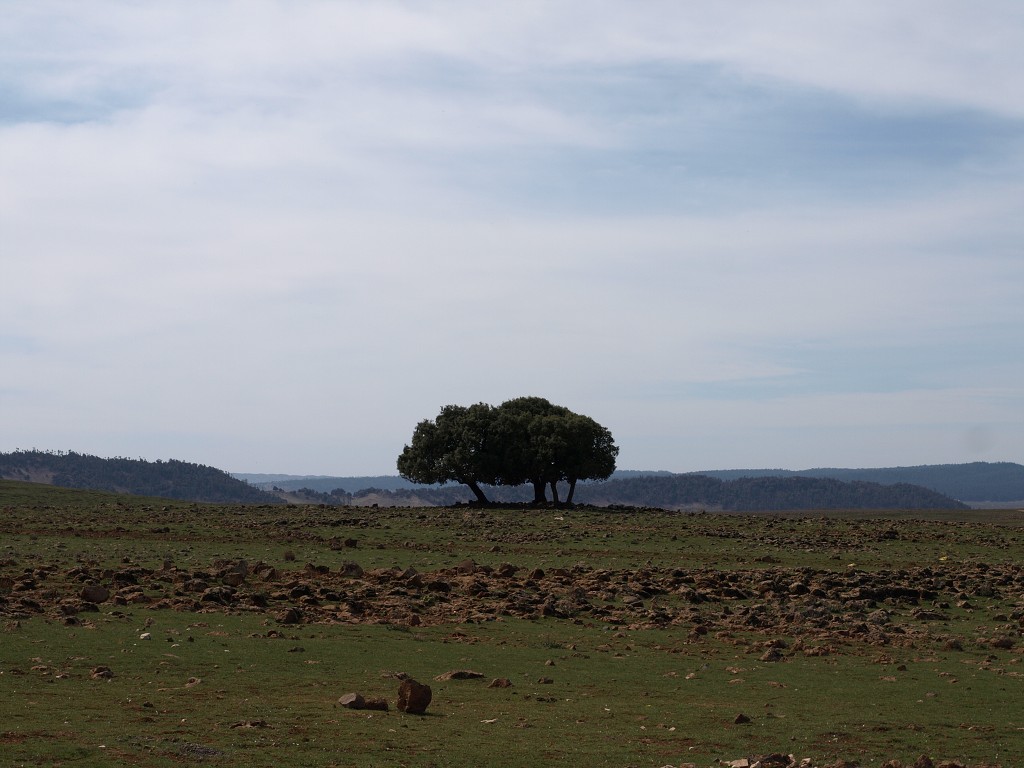 Maroko 2008