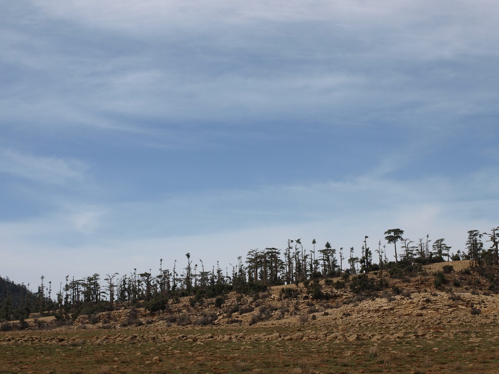 Maroko 2008