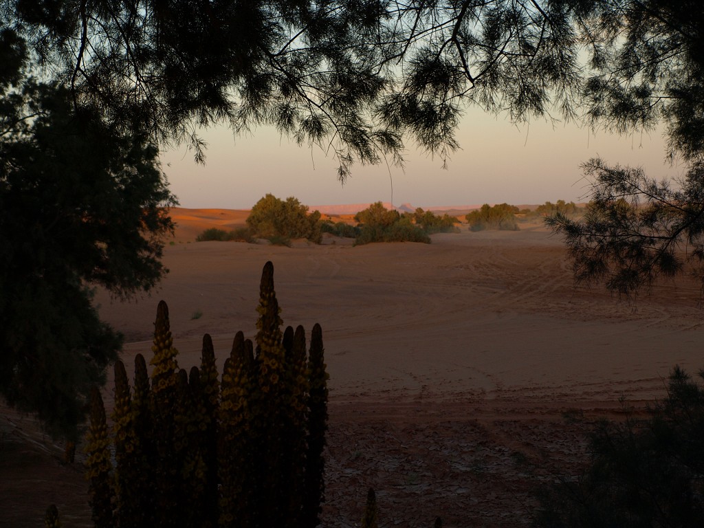 Maroko 2008